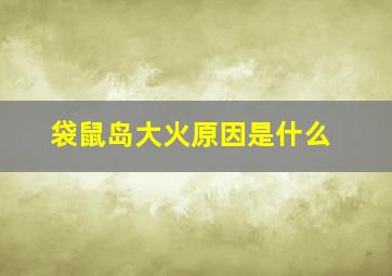 袋鼠岛大火原因是什么