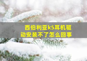 西伯利亚k5耳机驱动安装不了怎么回事