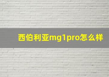 西伯利亚mg1pro怎么样