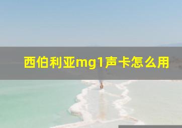 西伯利亚mg1声卡怎么用