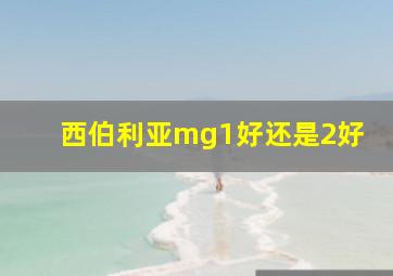 西伯利亚mg1好还是2好