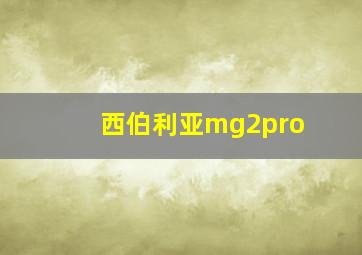 西伯利亚mg2pro