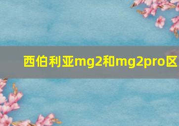 西伯利亚mg2和mg2pro区别