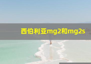 西伯利亚mg2和mg2s