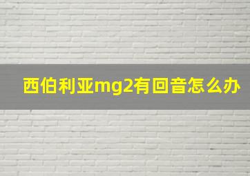 西伯利亚mg2有回音怎么办