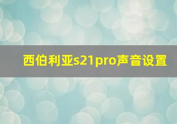 西伯利亚s21pro声音设置