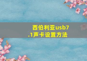 西伯利亚usb7.1声卡设置方法