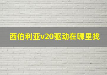 西伯利亚v20驱动在哪里找