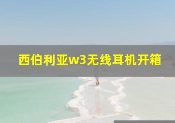 西伯利亚w3无线耳机开箱