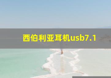 西伯利亚耳机usb7.1