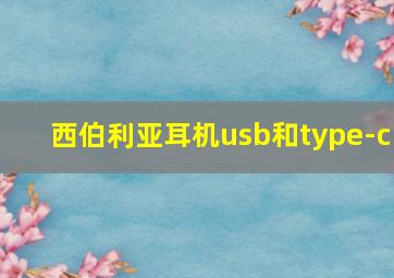 西伯利亚耳机usb和type-c