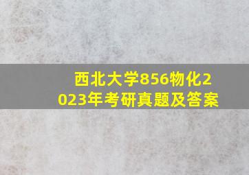 西北大学856物化2023年考研真题及答案