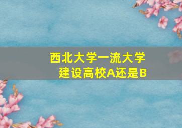 西北大学一流大学建设高校A还是B