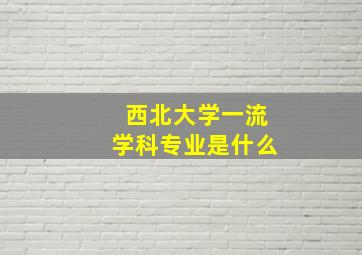 西北大学一流学科专业是什么