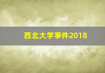 西北大学事件2018