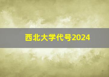 西北大学代号2024