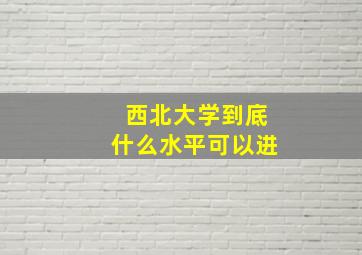 西北大学到底什么水平可以进