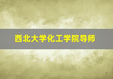 西北大学化工学院导师