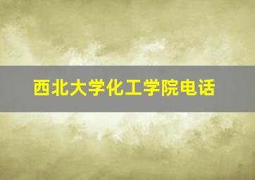 西北大学化工学院电话