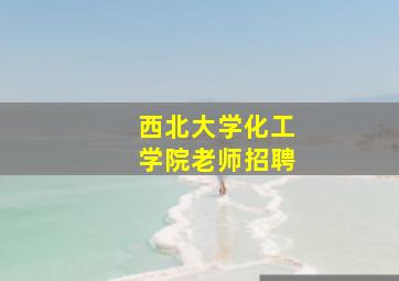 西北大学化工学院老师招聘