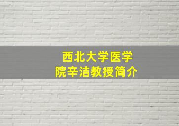 西北大学医学院辛洁教授简介