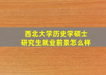 西北大学历史学硕士研究生就业前景怎么样