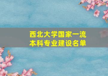 西北大学国家一流本科专业建设名单