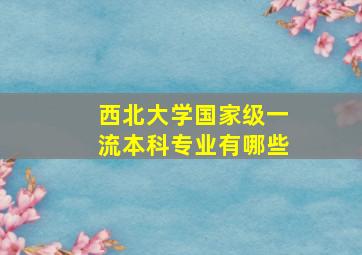 西北大学国家级一流本科专业有哪些