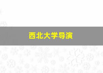 西北大学导演