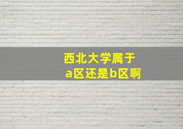 西北大学属于a区还是b区啊