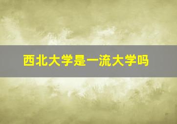 西北大学是一流大学吗