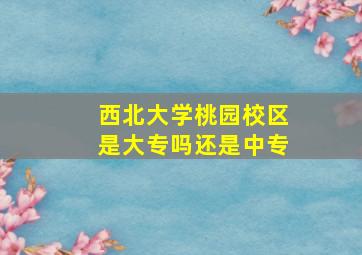 西北大学桃园校区是大专吗还是中专