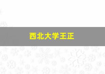 西北大学王正