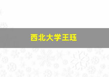 西北大学王珏