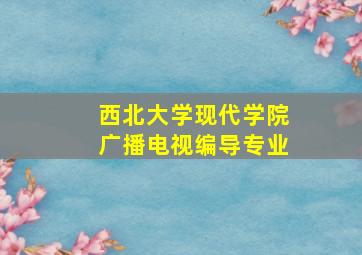 西北大学现代学院广播电视编导专业