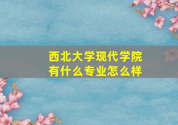 西北大学现代学院有什么专业怎么样