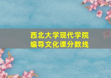 西北大学现代学院编导文化课分数线