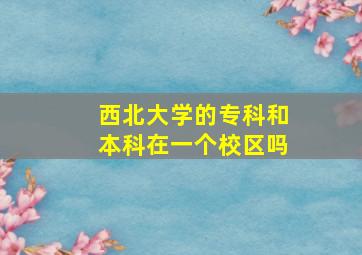 西北大学的专科和本科在一个校区吗