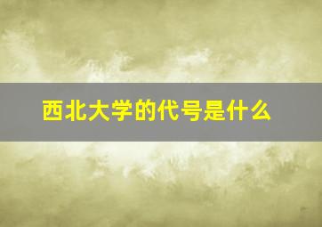 西北大学的代号是什么