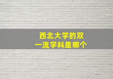 西北大学的双一流学科是哪个