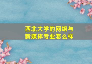 西北大学的网络与新媒体专业怎么样