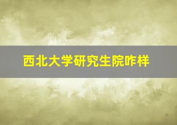 西北大学研究生院咋样