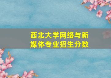 西北大学网络与新媒体专业招生分数