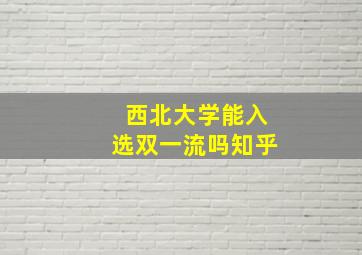 西北大学能入选双一流吗知乎