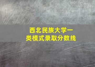 西北民族大学一类模式录取分数线