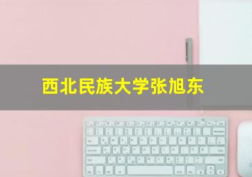 西北民族大学张旭东