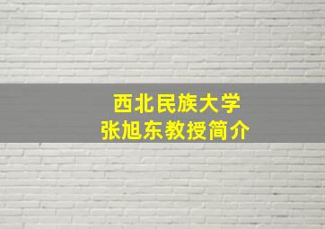 西北民族大学张旭东教授简介