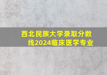 西北民族大学录取分数线2024临床医学专业