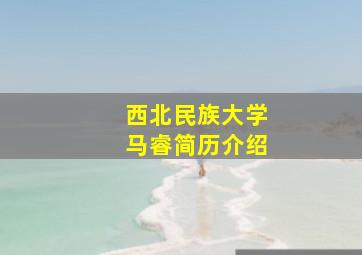 西北民族大学马睿简历介绍