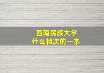 西南民族大学什么档次的一本